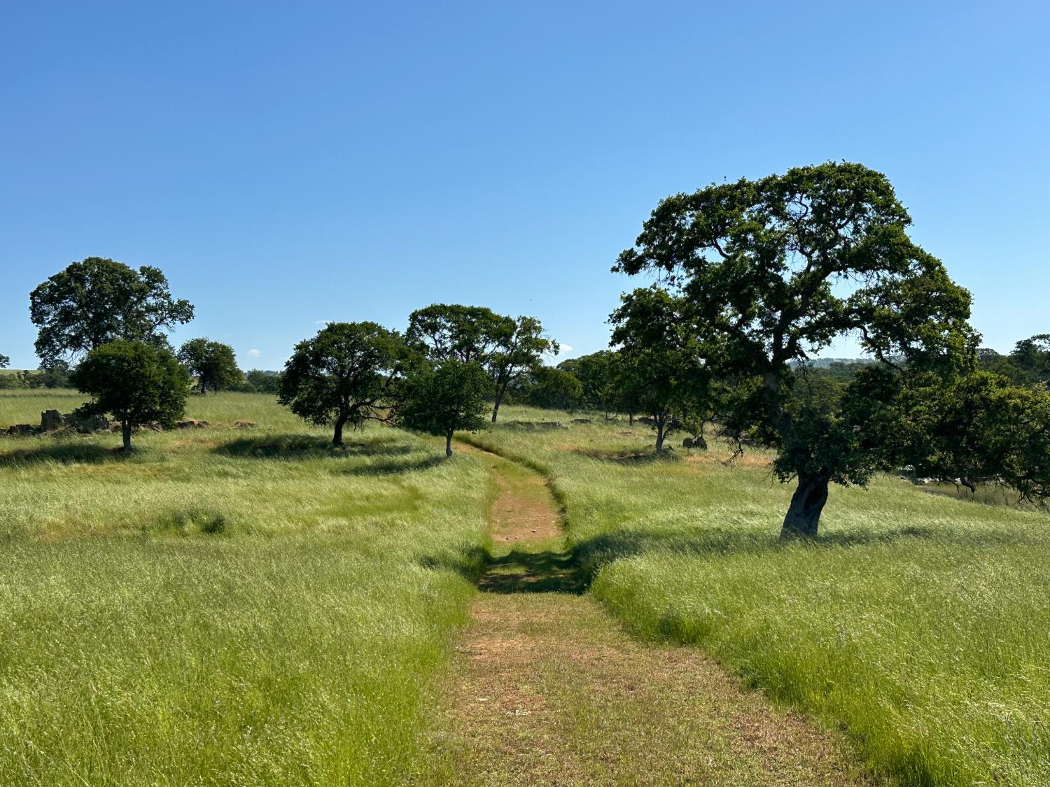 2 Zorro Rd, La Grange, CA 95329