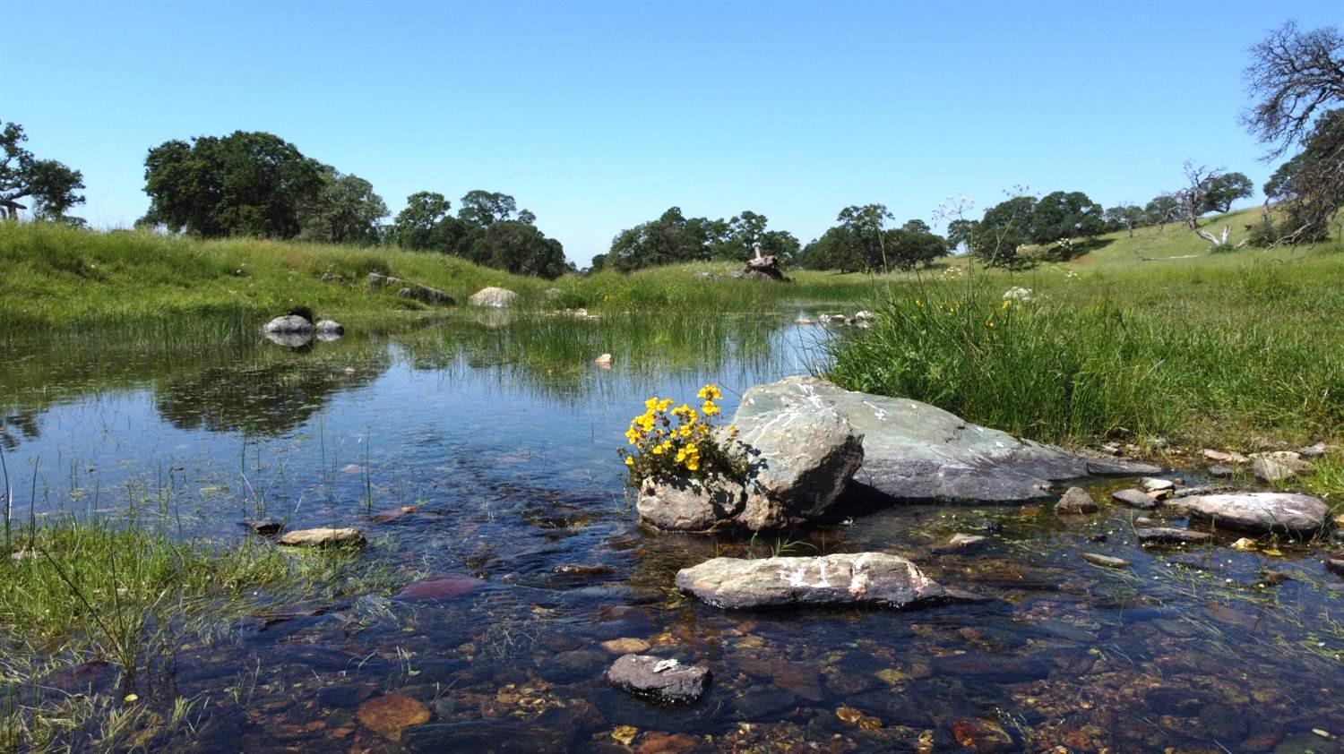 3 Zorro Rd, La Grange, CA 95329