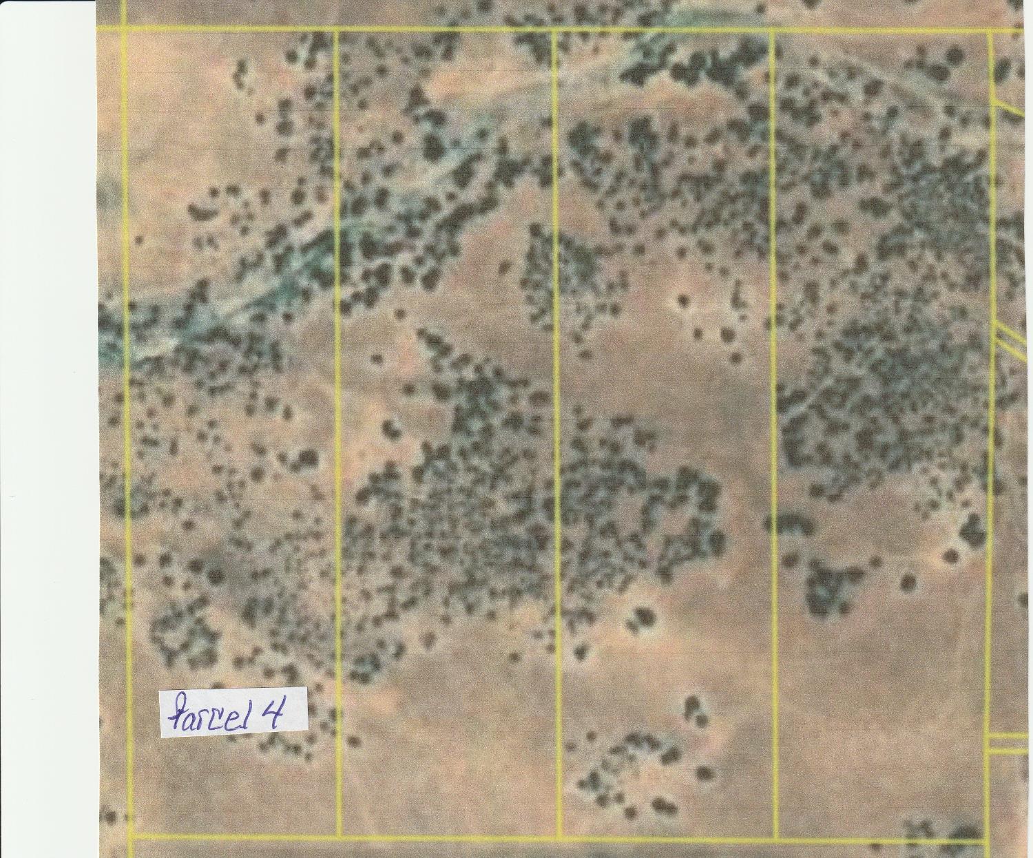 4 Zorro Rd, La Grange, CA 95329