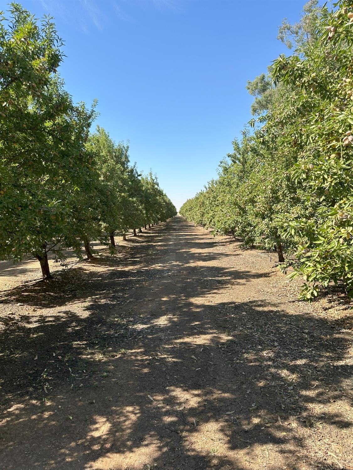 0 Cardella, Merced, CA 95340