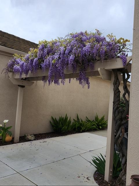 4332 Copper Cliff Ln, Modesto, CA 95355