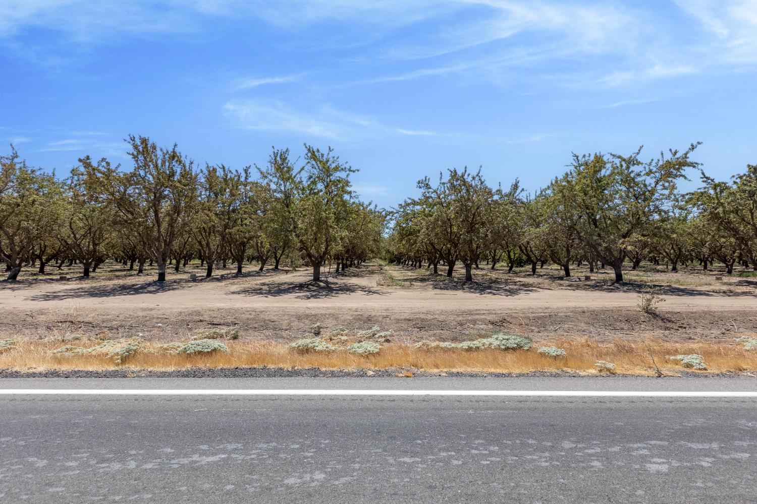 16388 Avenue 18 1/2, Madera, CA 93637