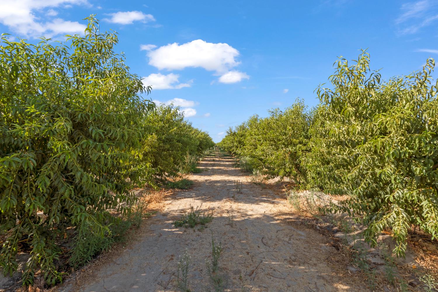 0 Hinton Rd, Delhi, CA 95315