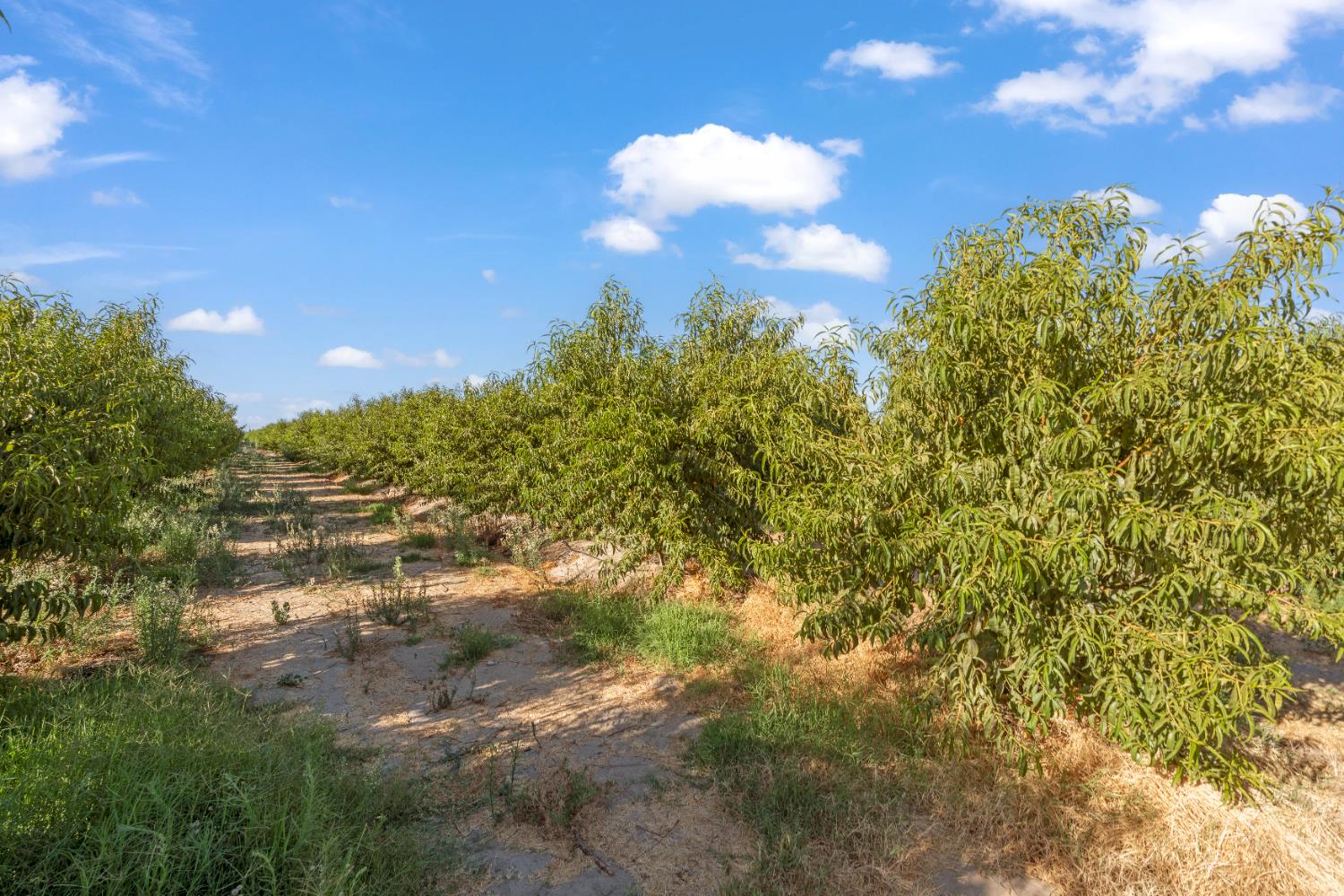 0 Hinton Rd, Delhi, CA 95315