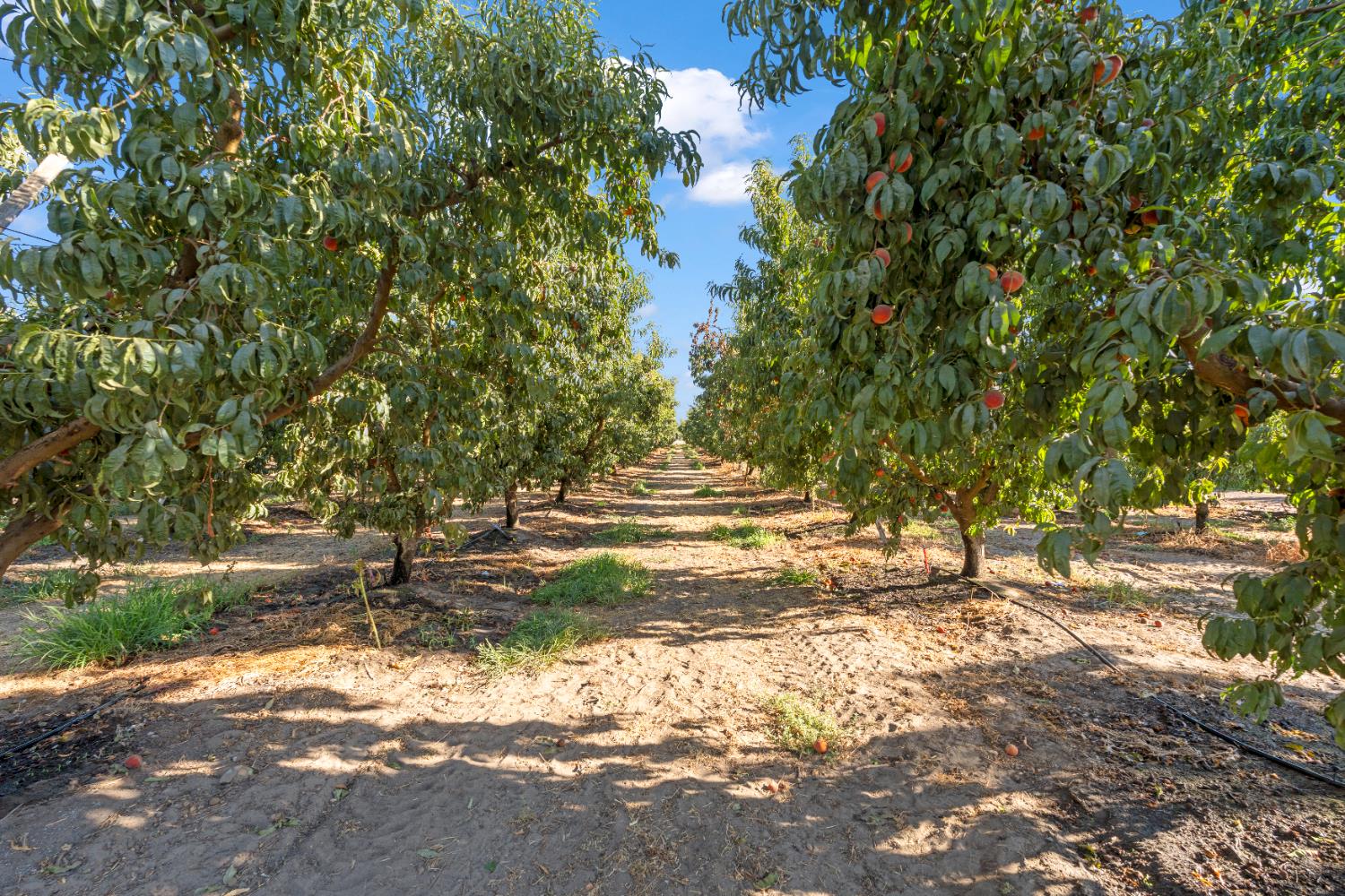 0 Hinton Rd, Delhi, CA 95315