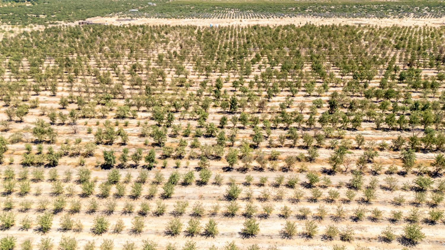 0 Buchanan Hollow Rd, Le Grand, CA 95333