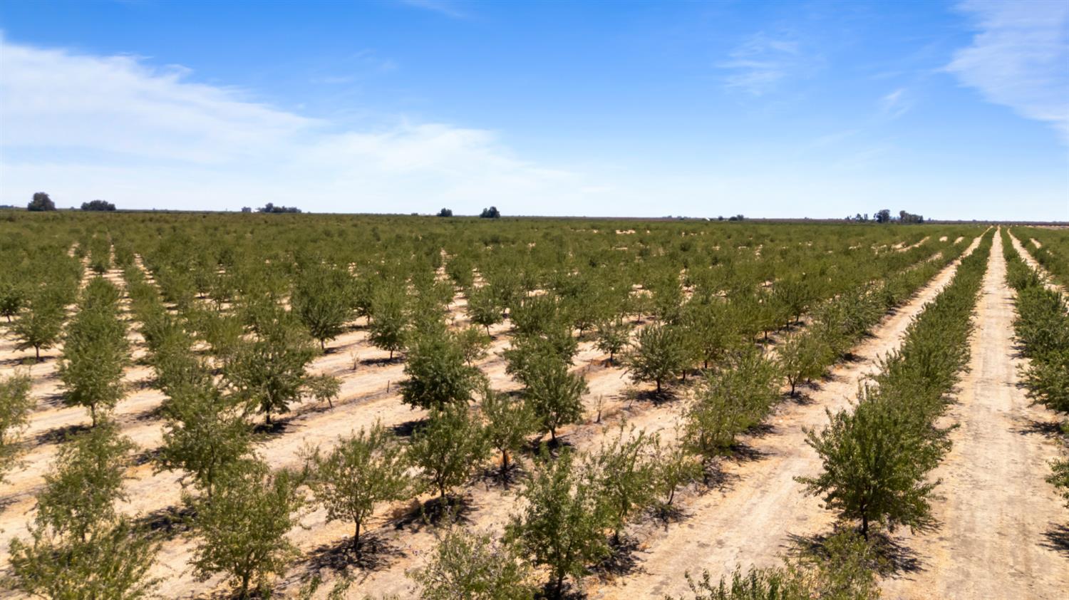 0 Buchanan Hollow Rd, Le Grand, CA 95333