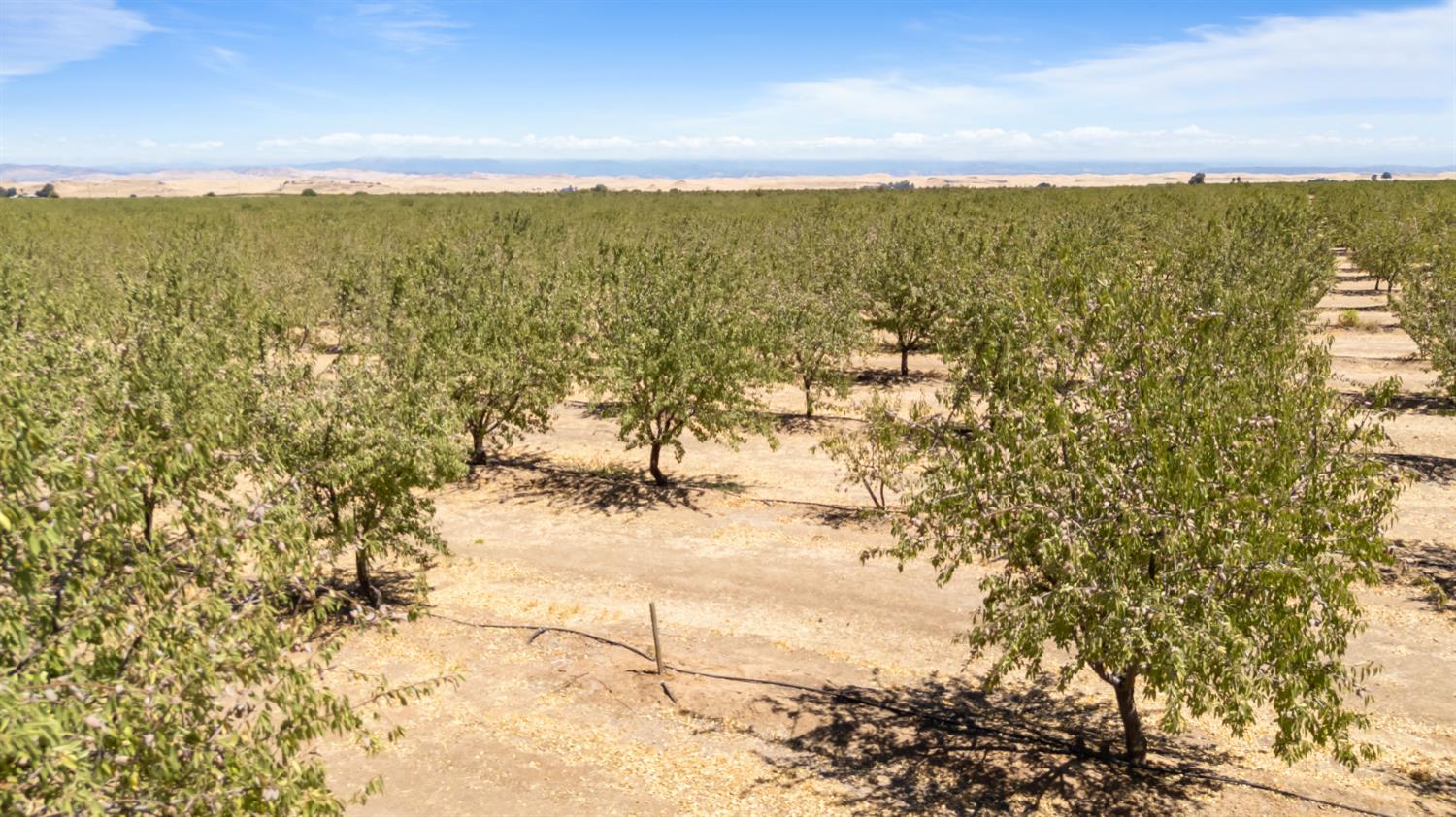 0 Buchanan Hollow Rd, Le Grand, CA 95333