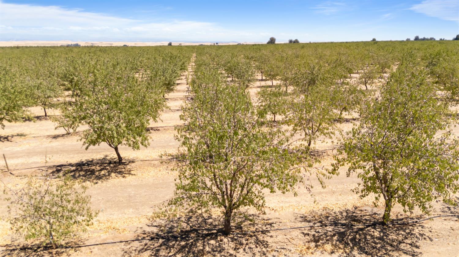 0 Buchanan Hollow Rd, Le Grand, CA 95333