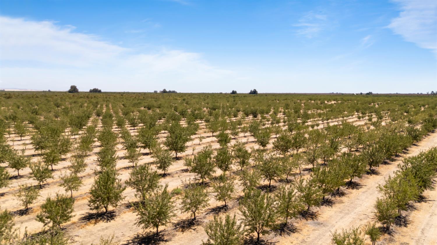 0 Buchanan Hollow Rd, Le Grand, CA 95333