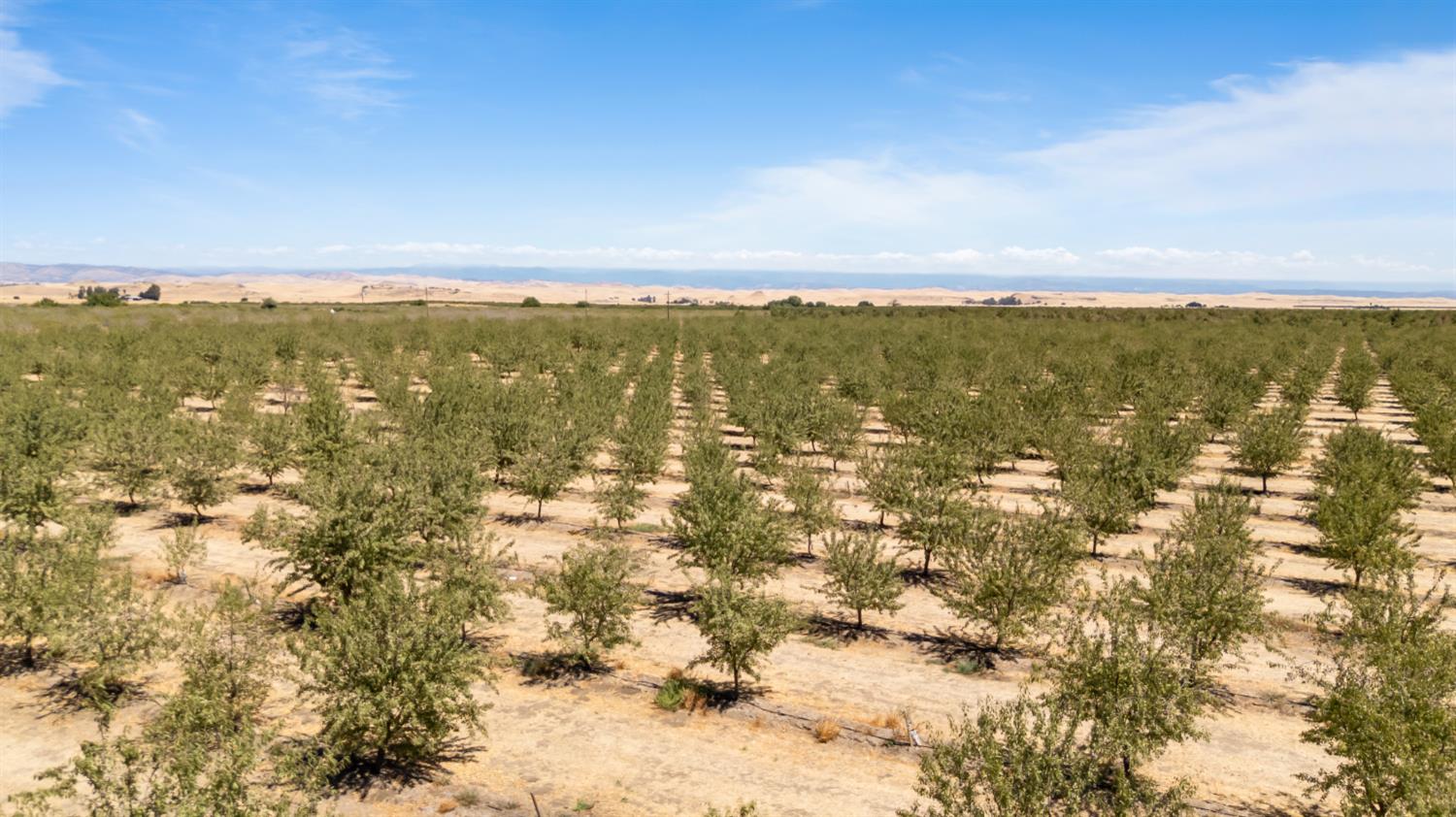 0 Buchanan Hollow Rd, Le Grand, CA 95333