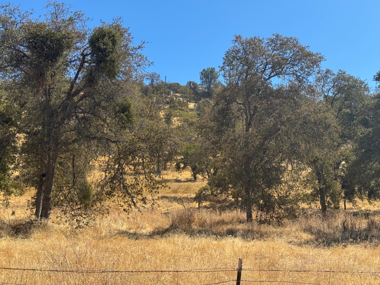 837 Castillo, La Grange, CA 95329