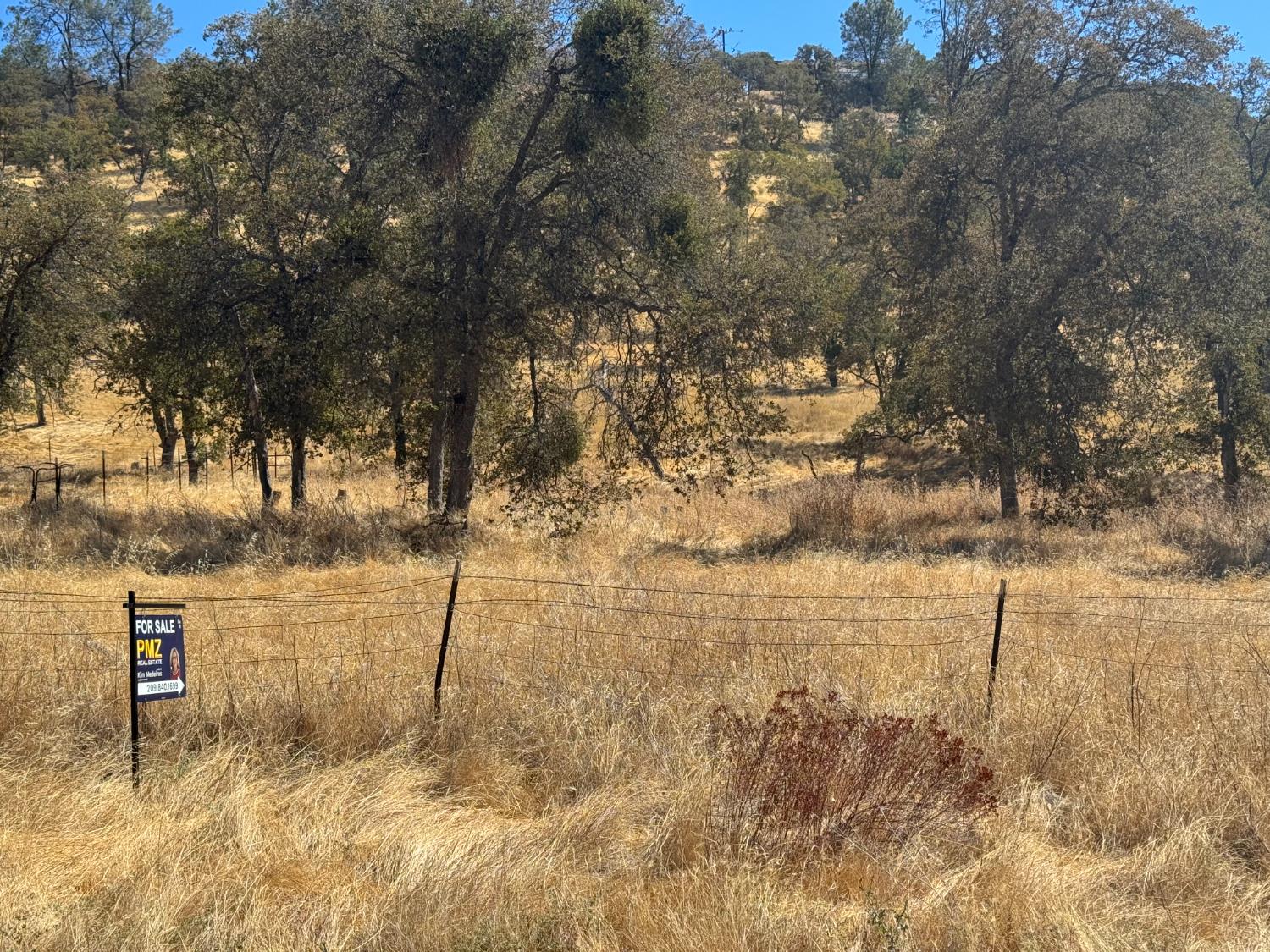 837 Castillo, La Grange, CA 95329