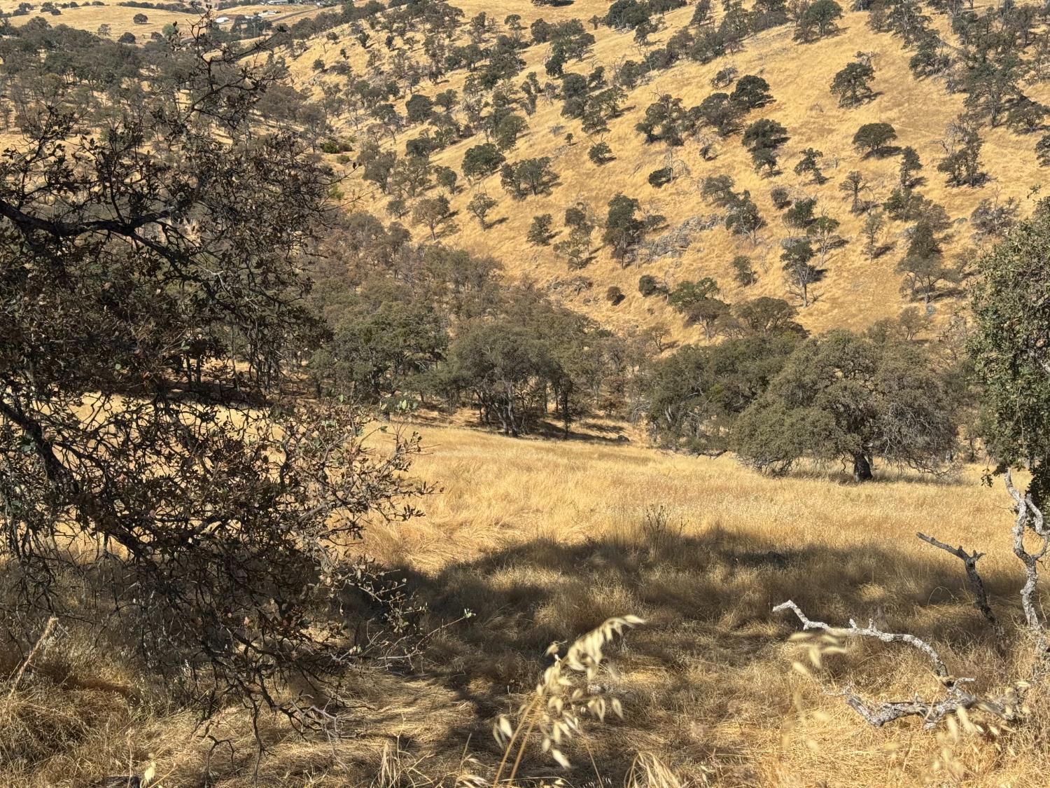 9553 Coronado Dr, La Grange, CA 95329