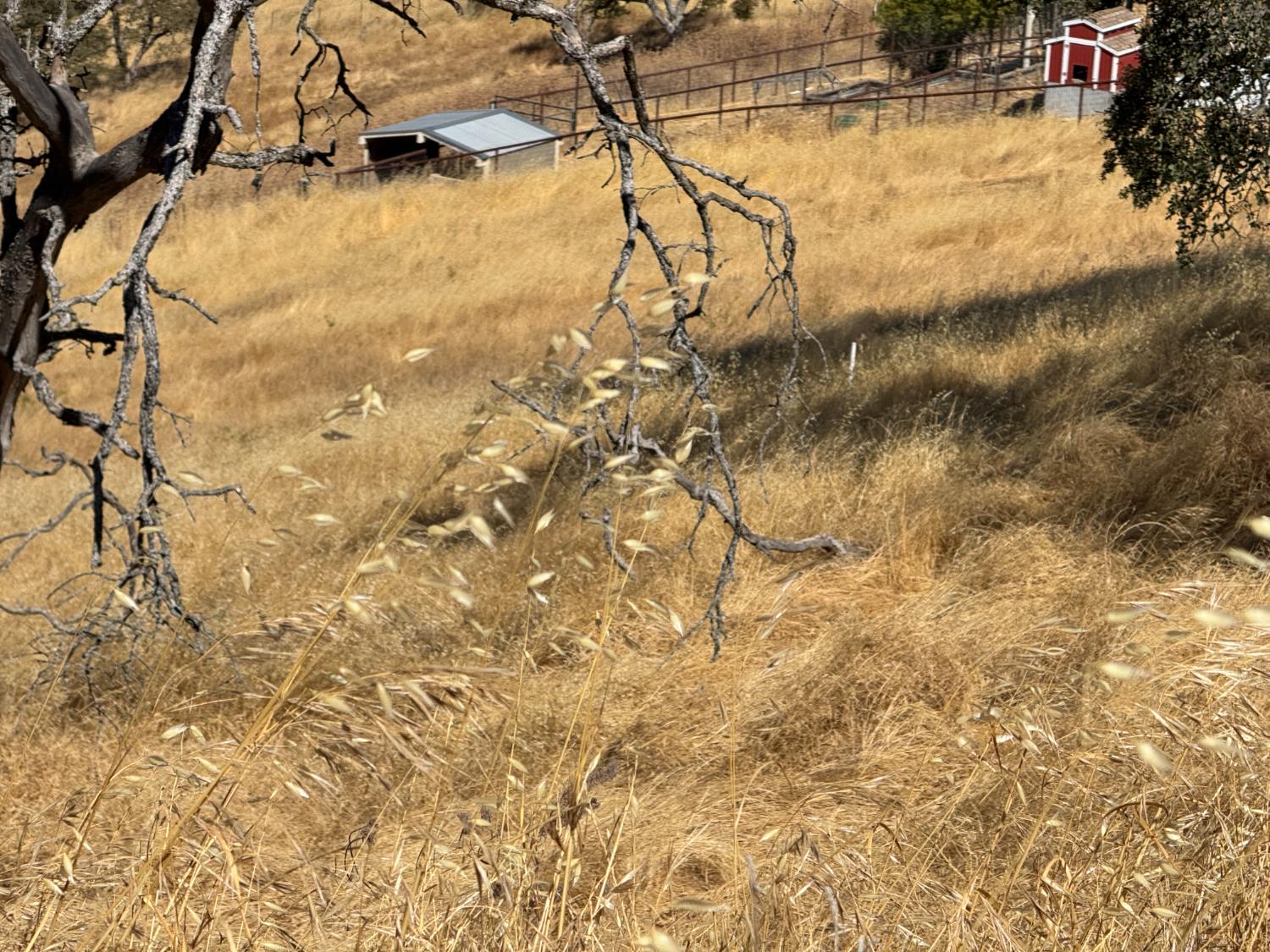 9553 Coronado Dr, La Grange, CA 95329