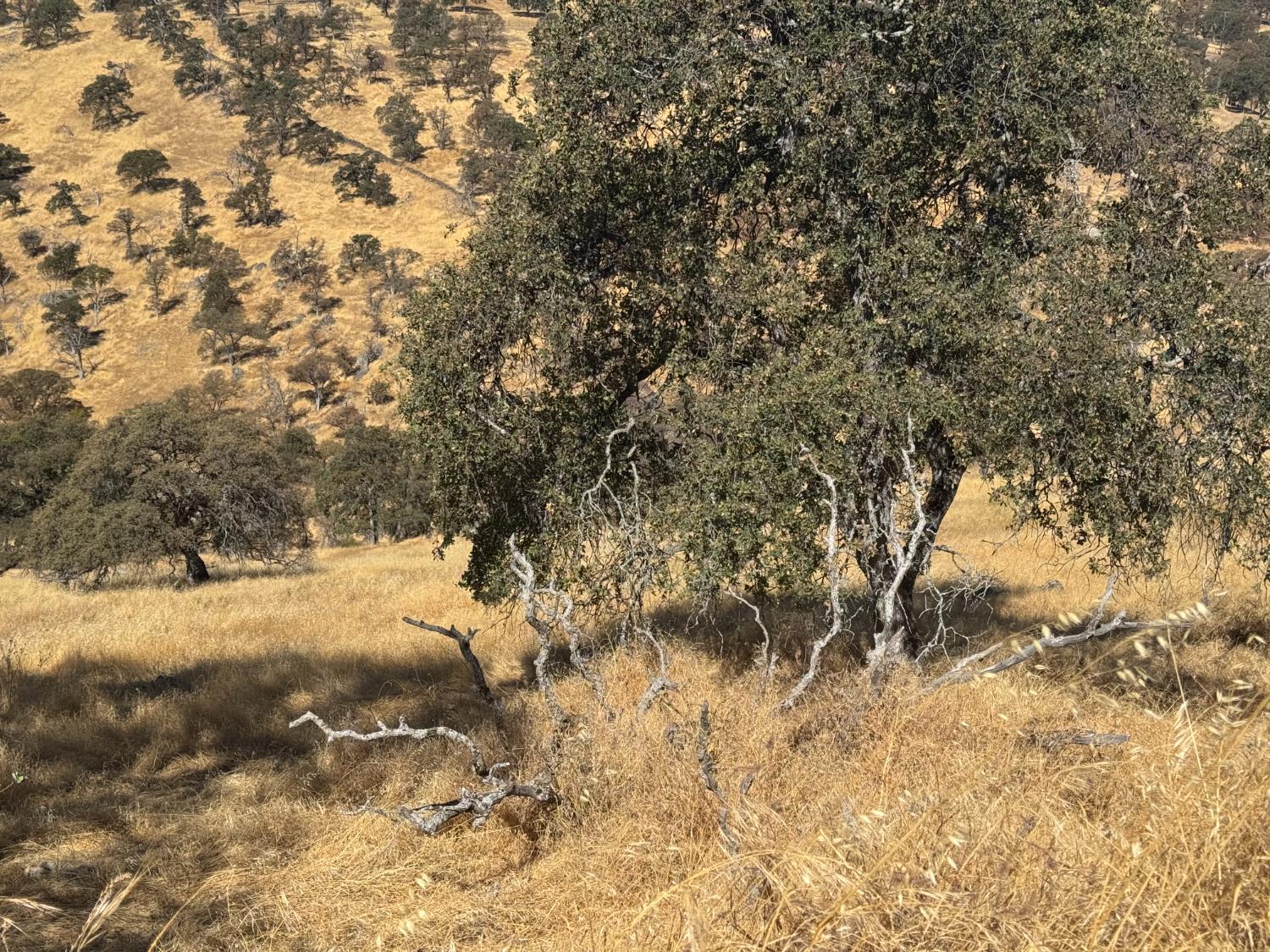 9553 Coronado Dr, La Grange, CA 95329