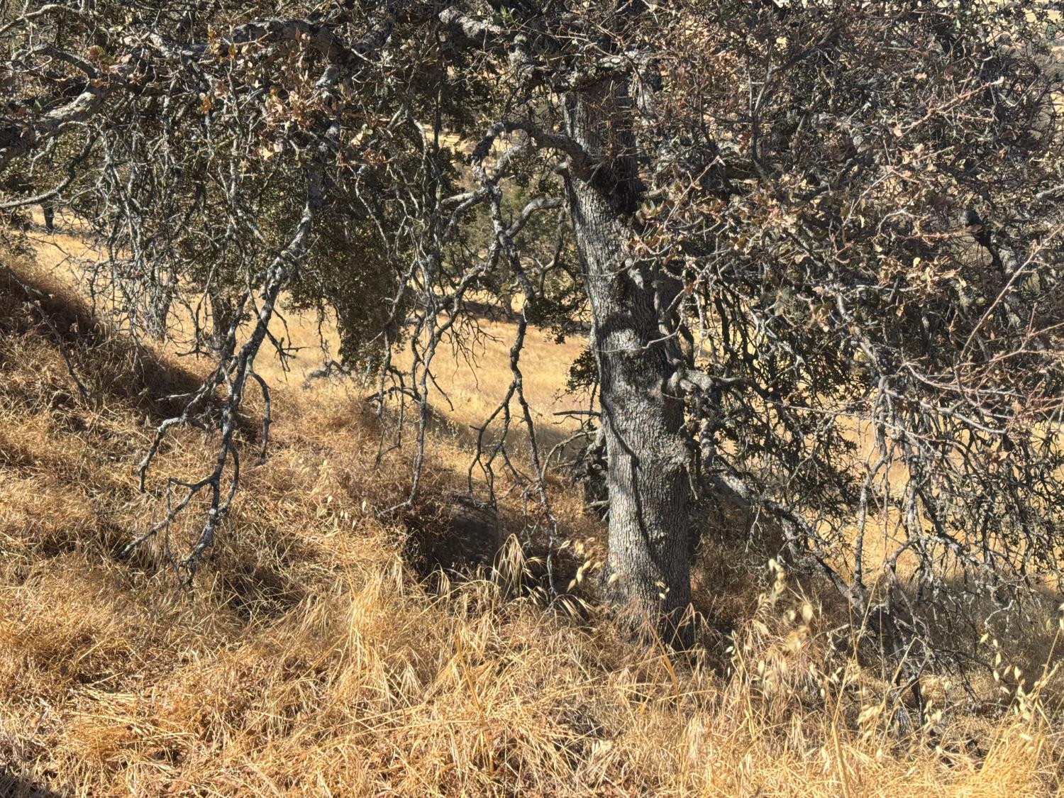 9553 Coronado Dr, La Grange, CA 95329