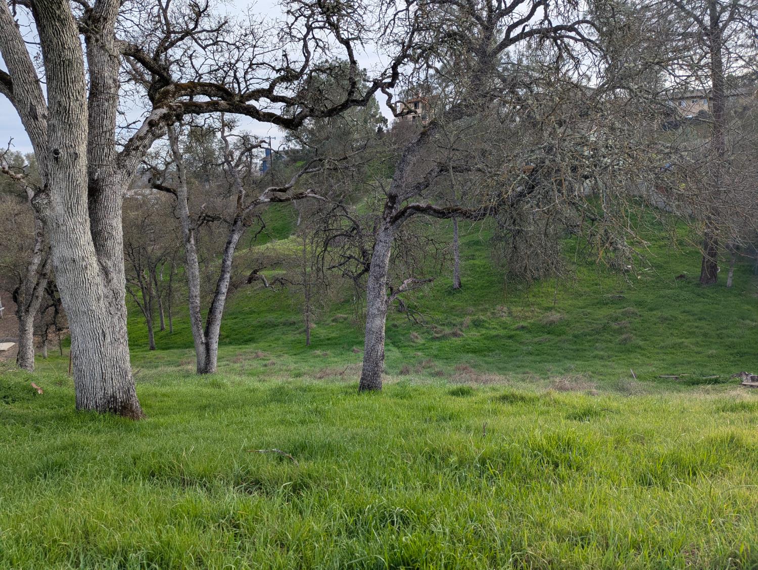 4314 Edgewater Ct, Copperopolis, CA 95228