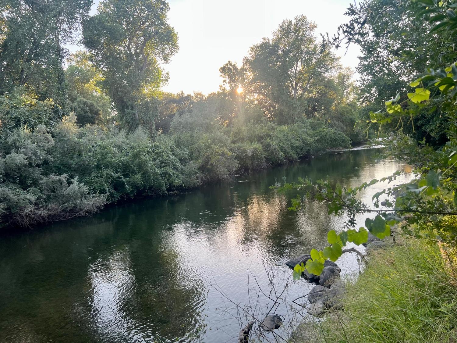 12024 Rodden Rd., Oakdale, CA 95361