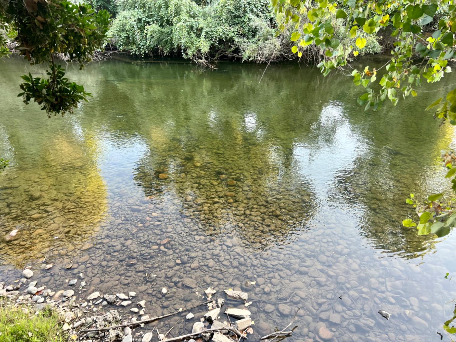 12024 Rodden Rd., Oakdale, CA 95361