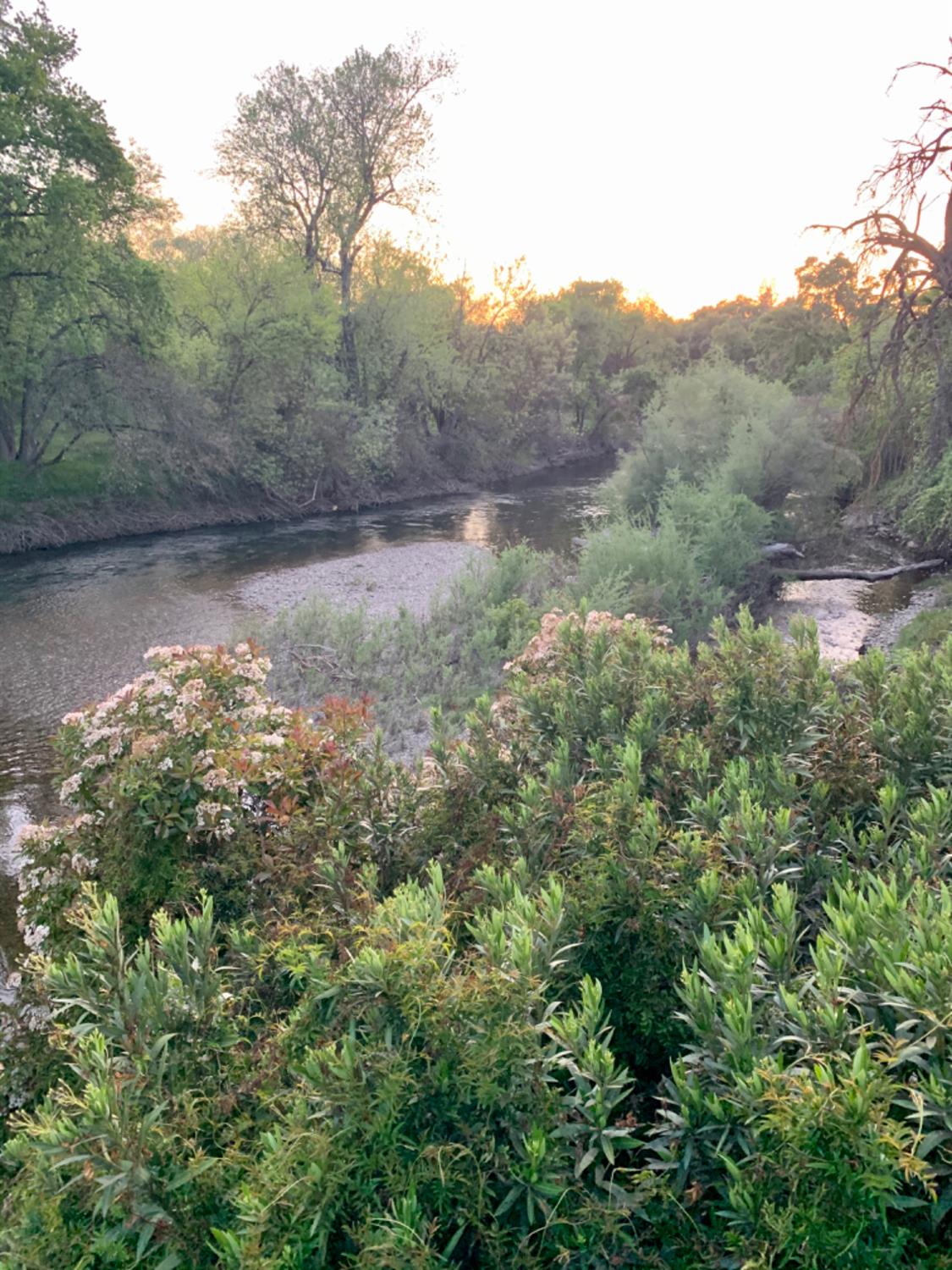 12024 Rodden Rd., Oakdale, CA 95361