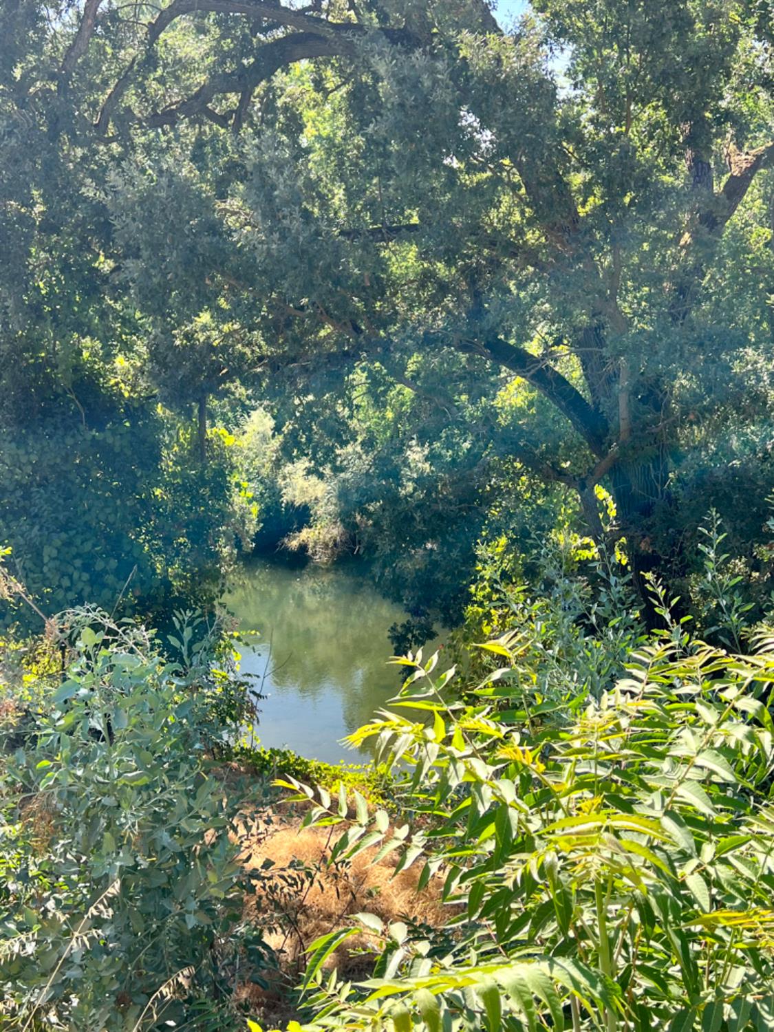 12024 Rodden Rd., Oakdale, CA 95361