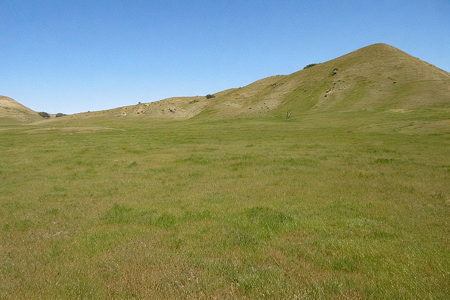 0 0 Hwy 198, Coalinga, CA 93210