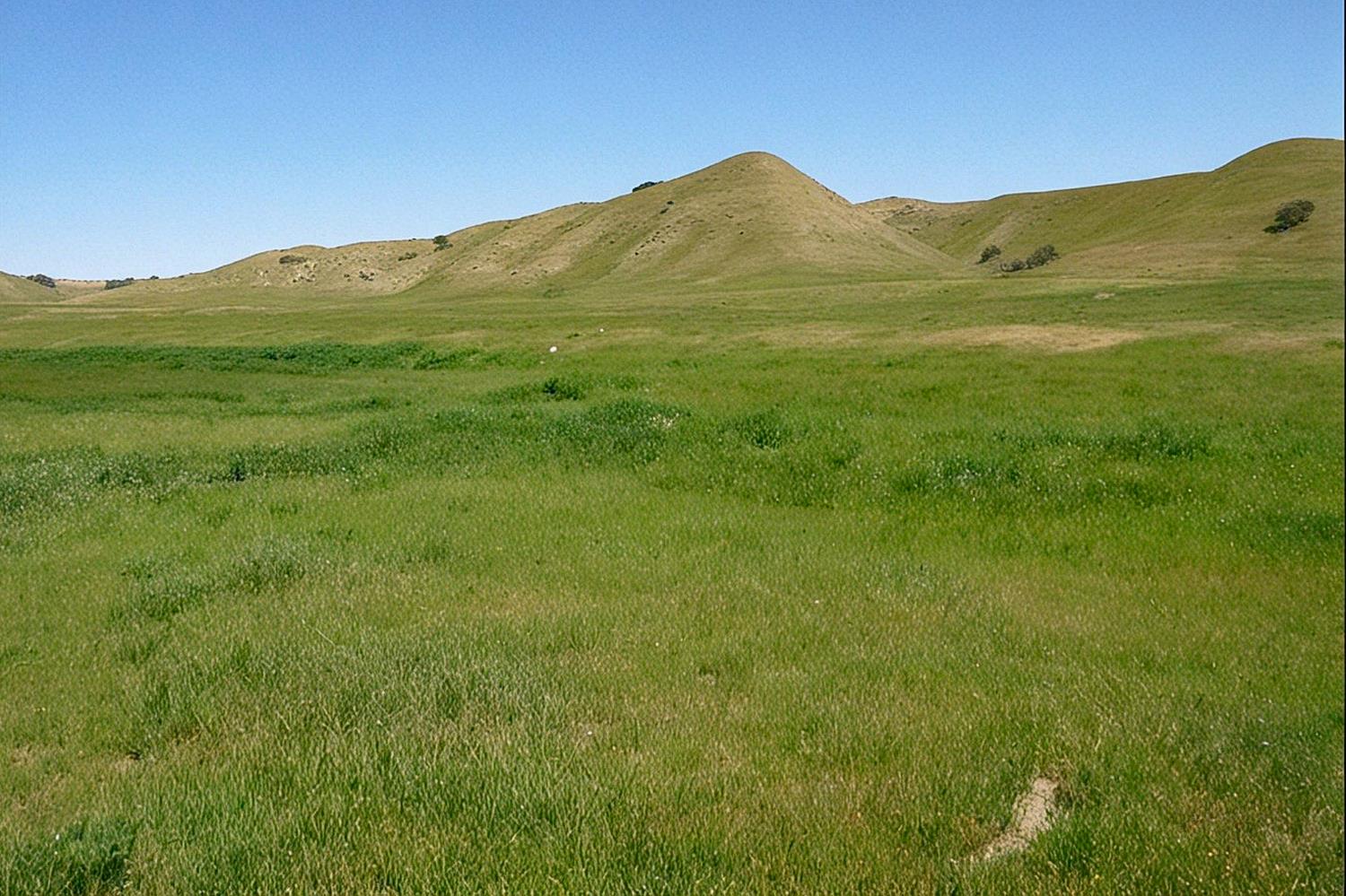 0 0 Hwy 198, Coalinga, CA 93210