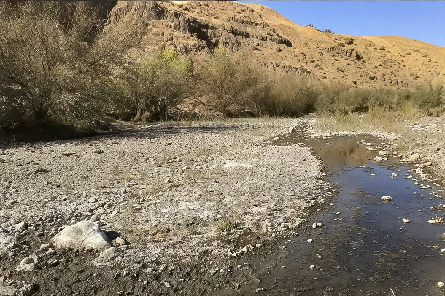 0 0 Hwy 198, Coalinga, CA 93210