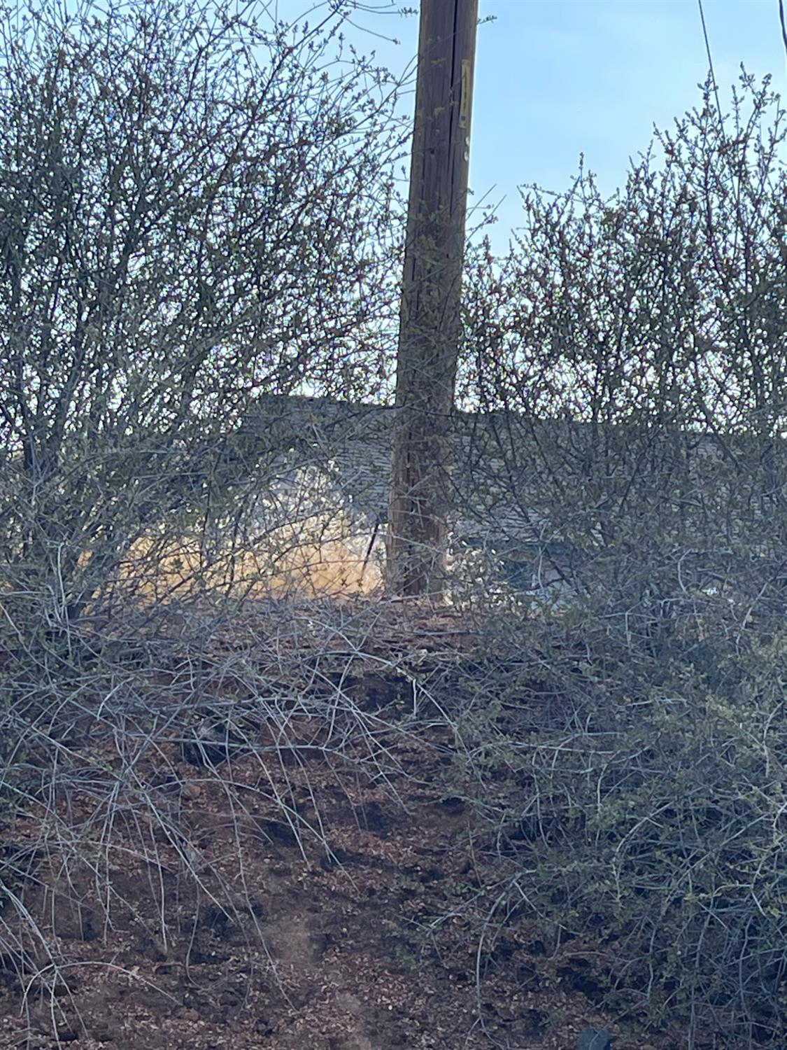 0 Pepito Dr, La Grange, CA 95329