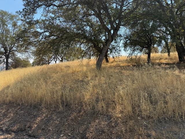 1976 Inyo Ct, Copperopolis, CA 95228