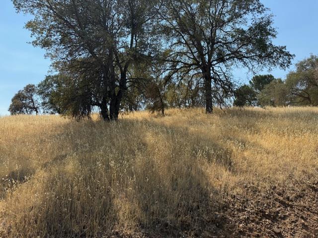 1976 Inyo Ct, Copperopolis, CA 95228