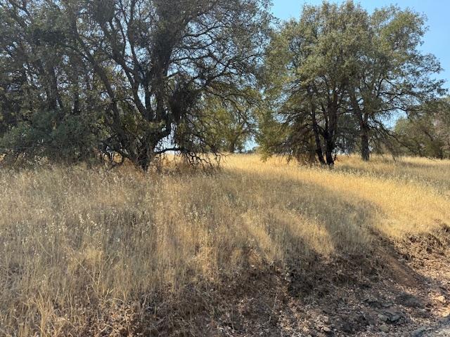 1976 Inyo Ct, Copperopolis, CA 95228