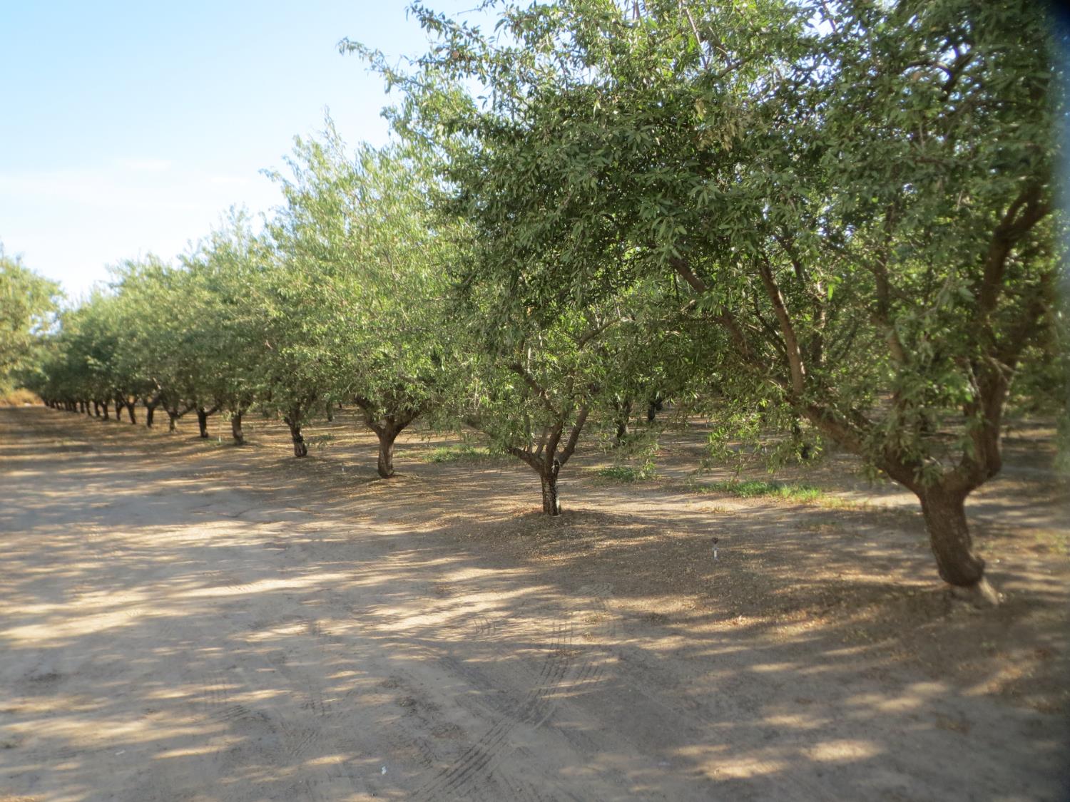 1011 Post Rd, Oakdale, CA 95361