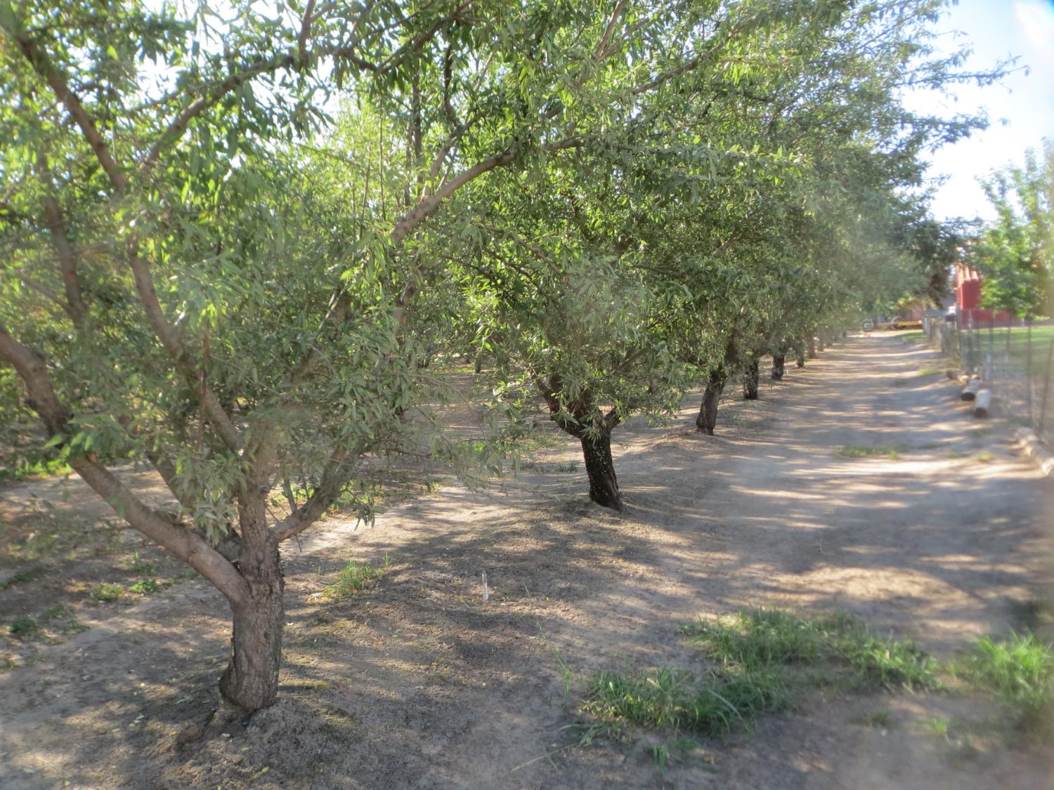 1011 Post Rd, Oakdale, CA 95361