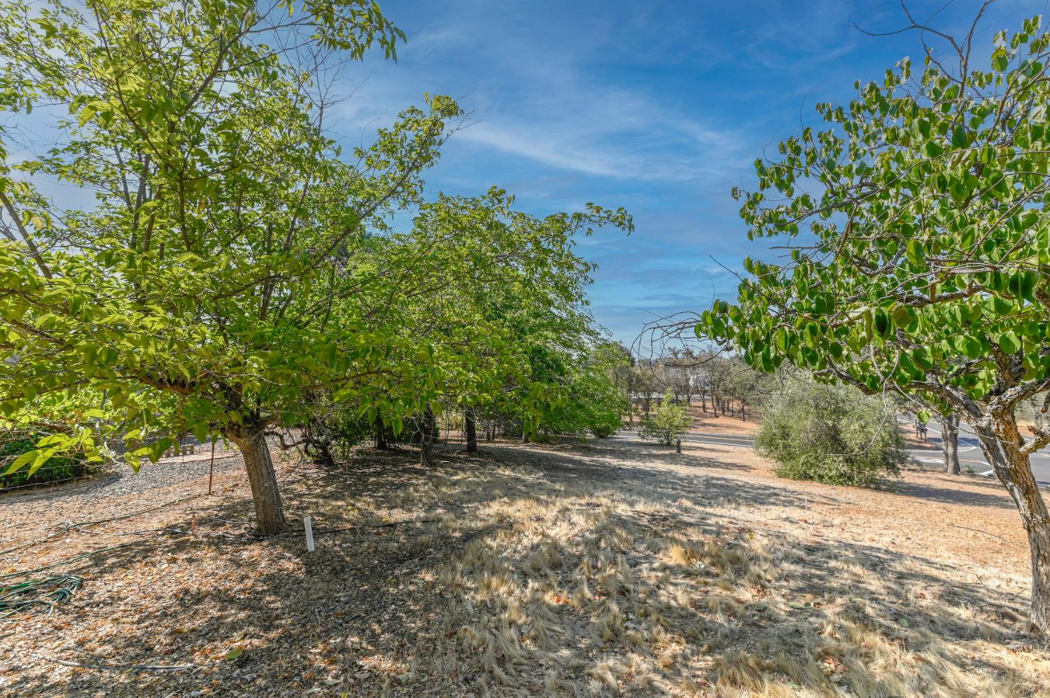 2451 Canoe St, Copperopolis, CA 95228