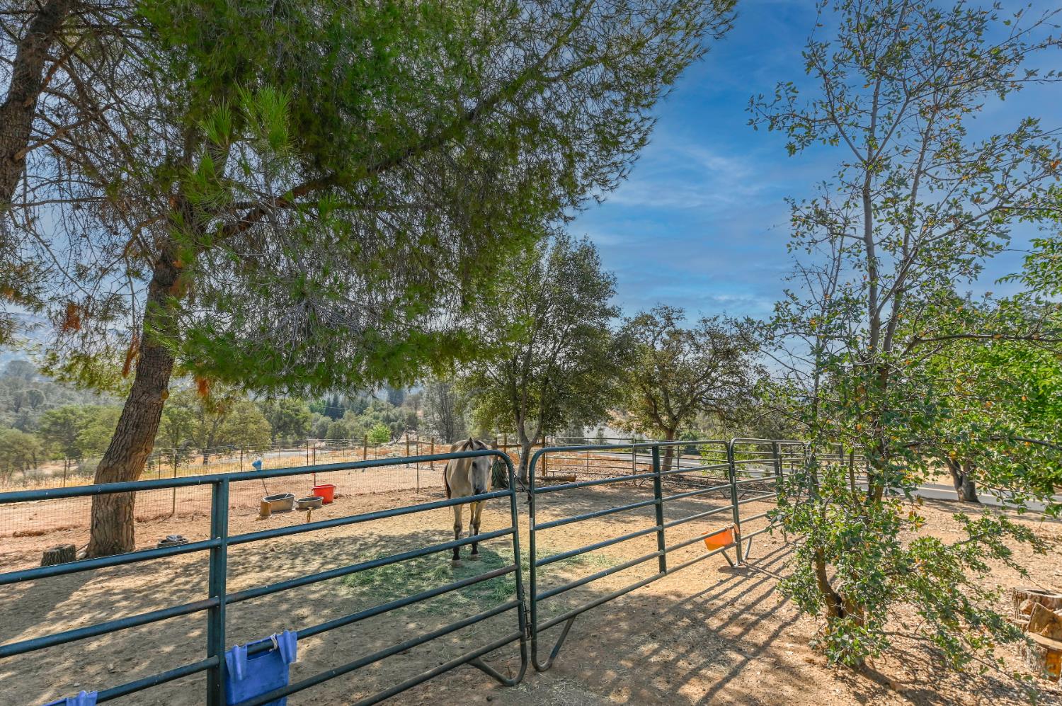 2451 Canoe St, Copperopolis, CA 95228