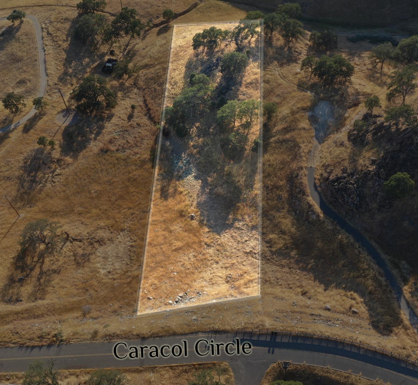 9797 Caracol Cir, La Grange, CA 95329