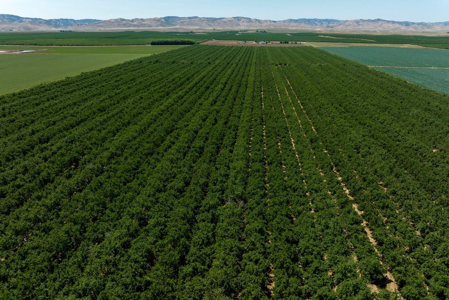 100 ac Draper Rd, Newman, CA 95360