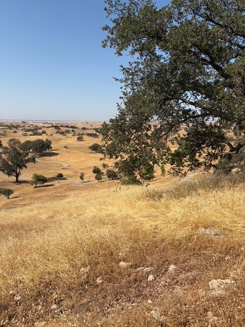 9769 Caracol Cir, La Grange, CA 95329