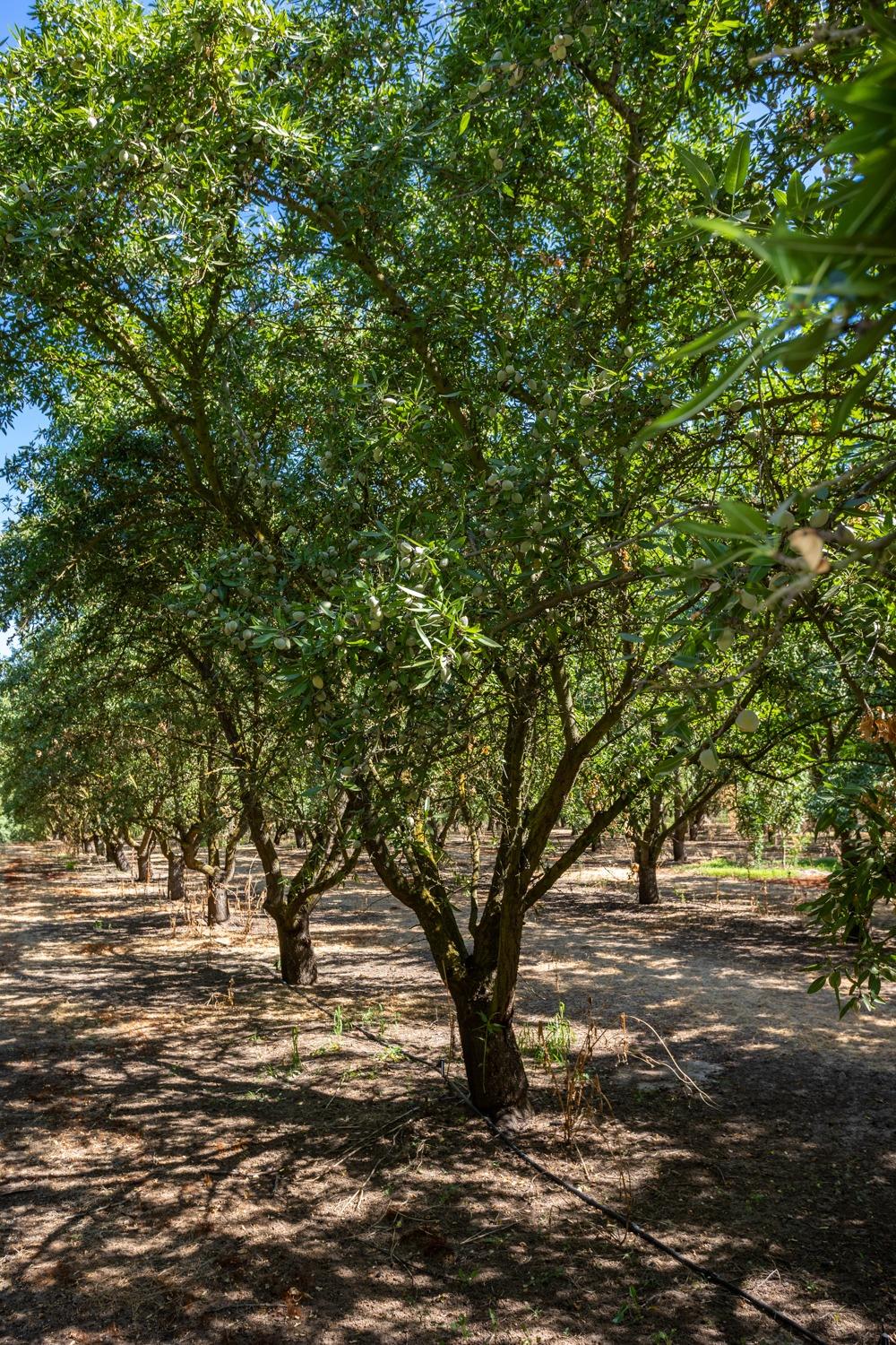 9337 Creekside Ln, Modesto, CA 95357