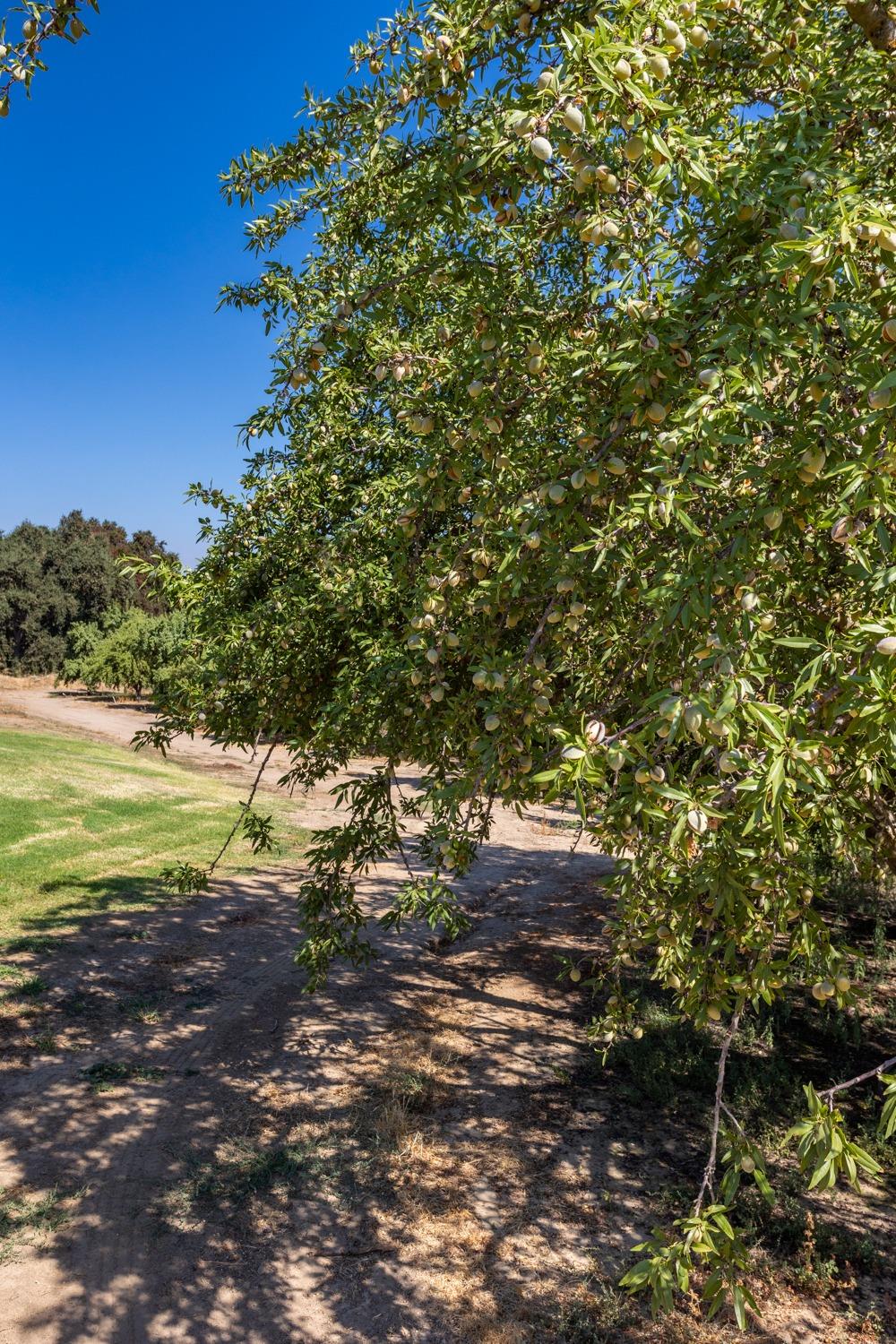 9337 Creekside Ln, Modesto, CA 95357