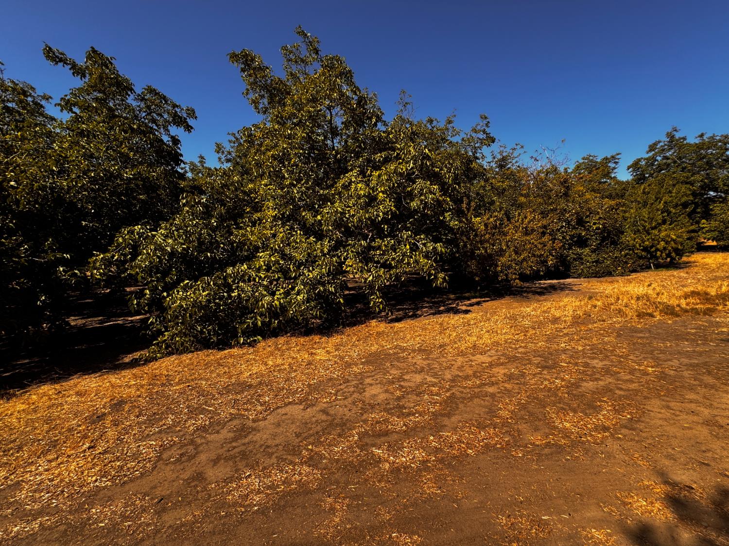 6731 River Rd, Oakdale, CA 95361