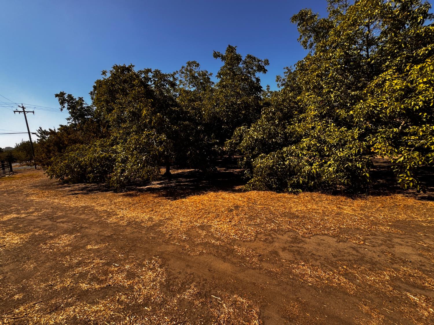 6731 River Rd, Oakdale, CA 95361