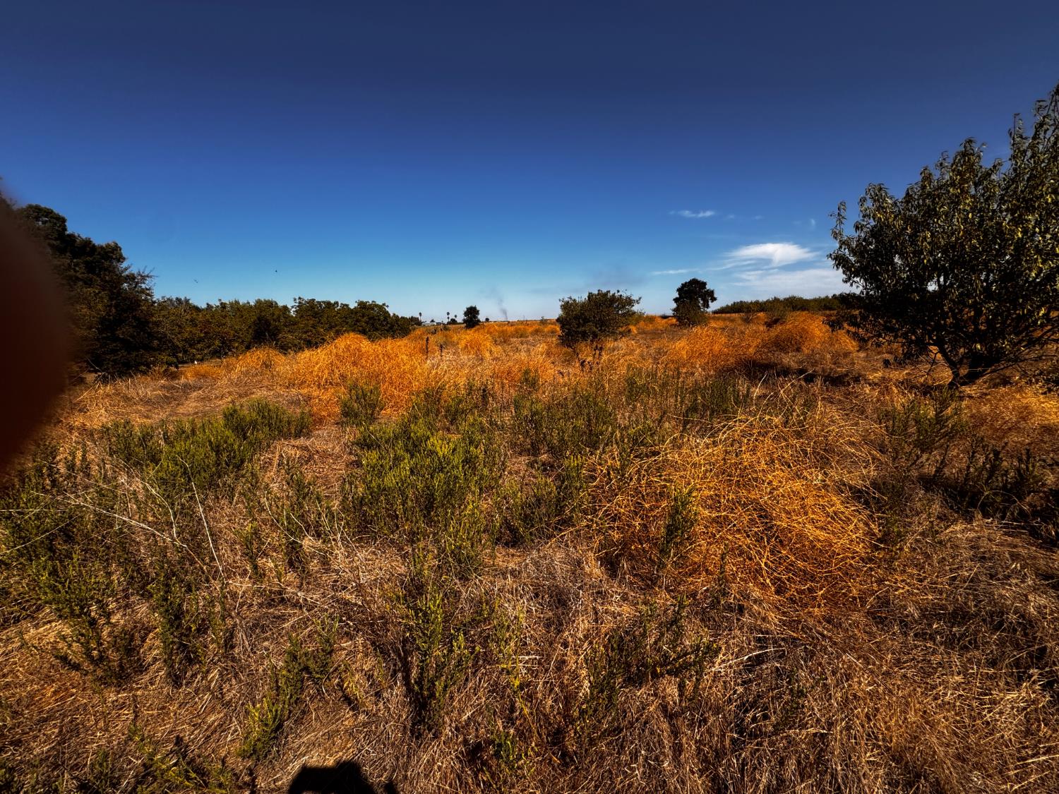 6731 River Rd, Oakdale, CA 95361