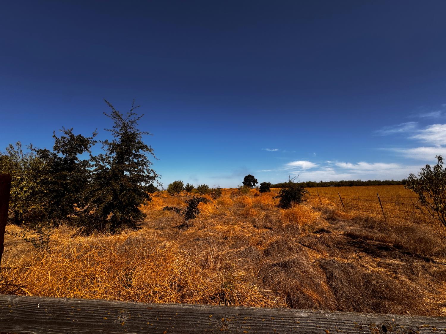 6731 River Rd, Oakdale, CA 95361