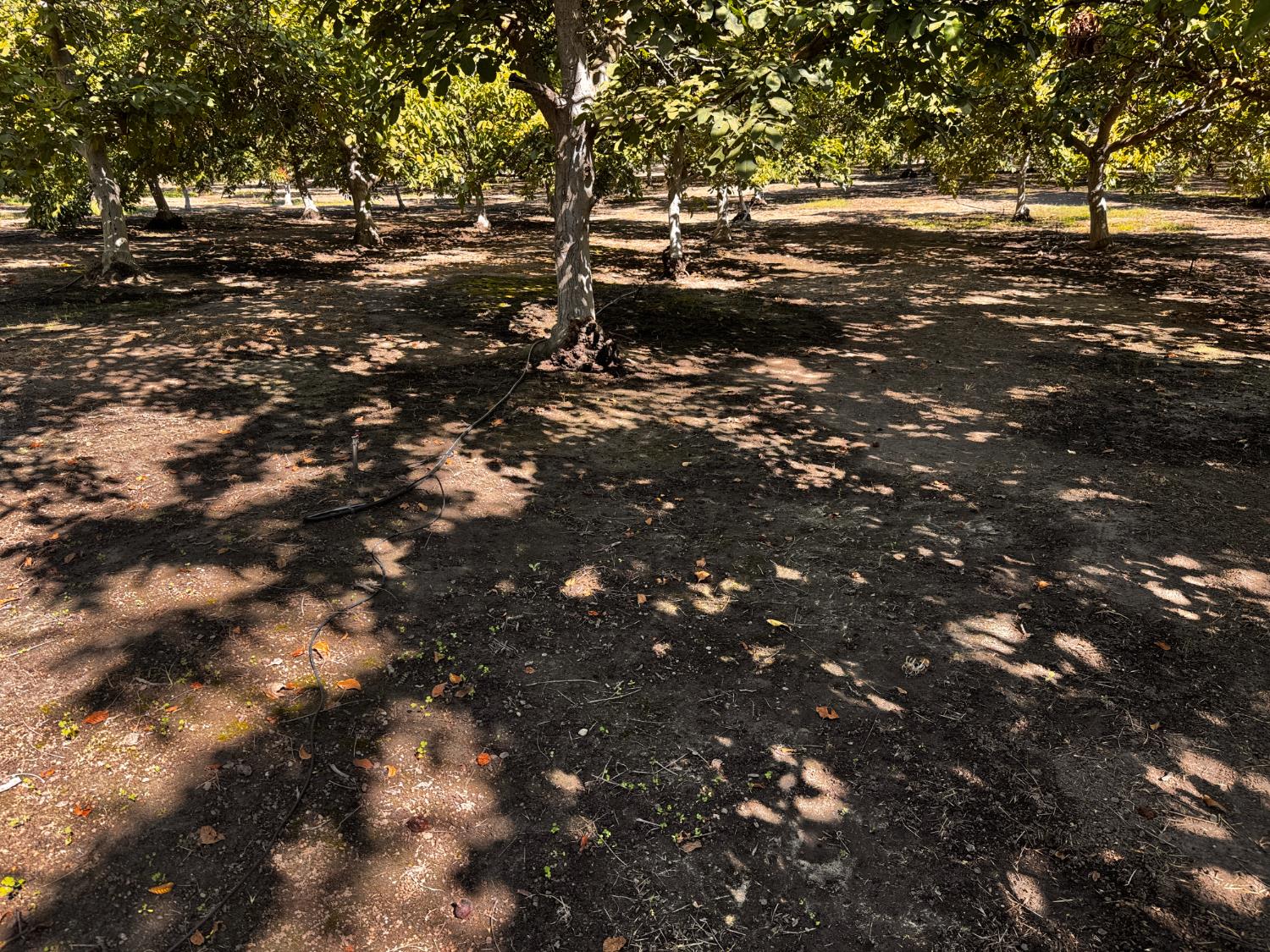 6731 River Rd, Oakdale, CA 95361