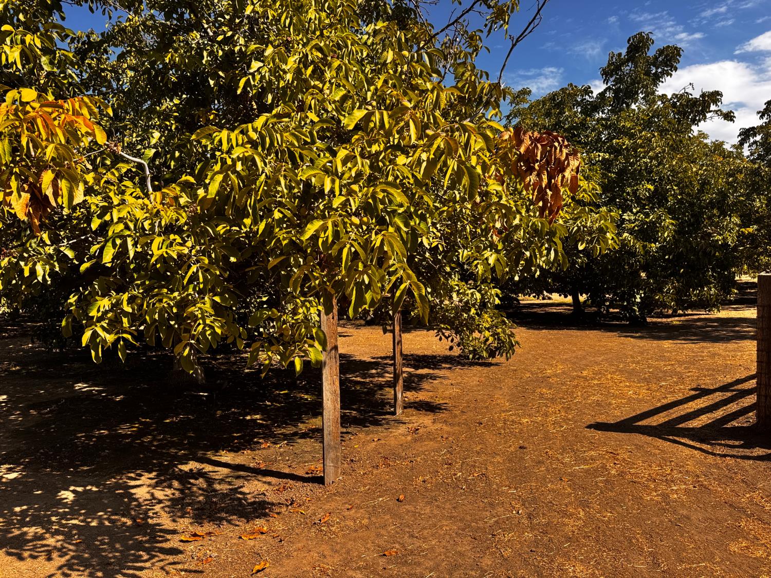 6731 River Rd, Oakdale, CA 95361