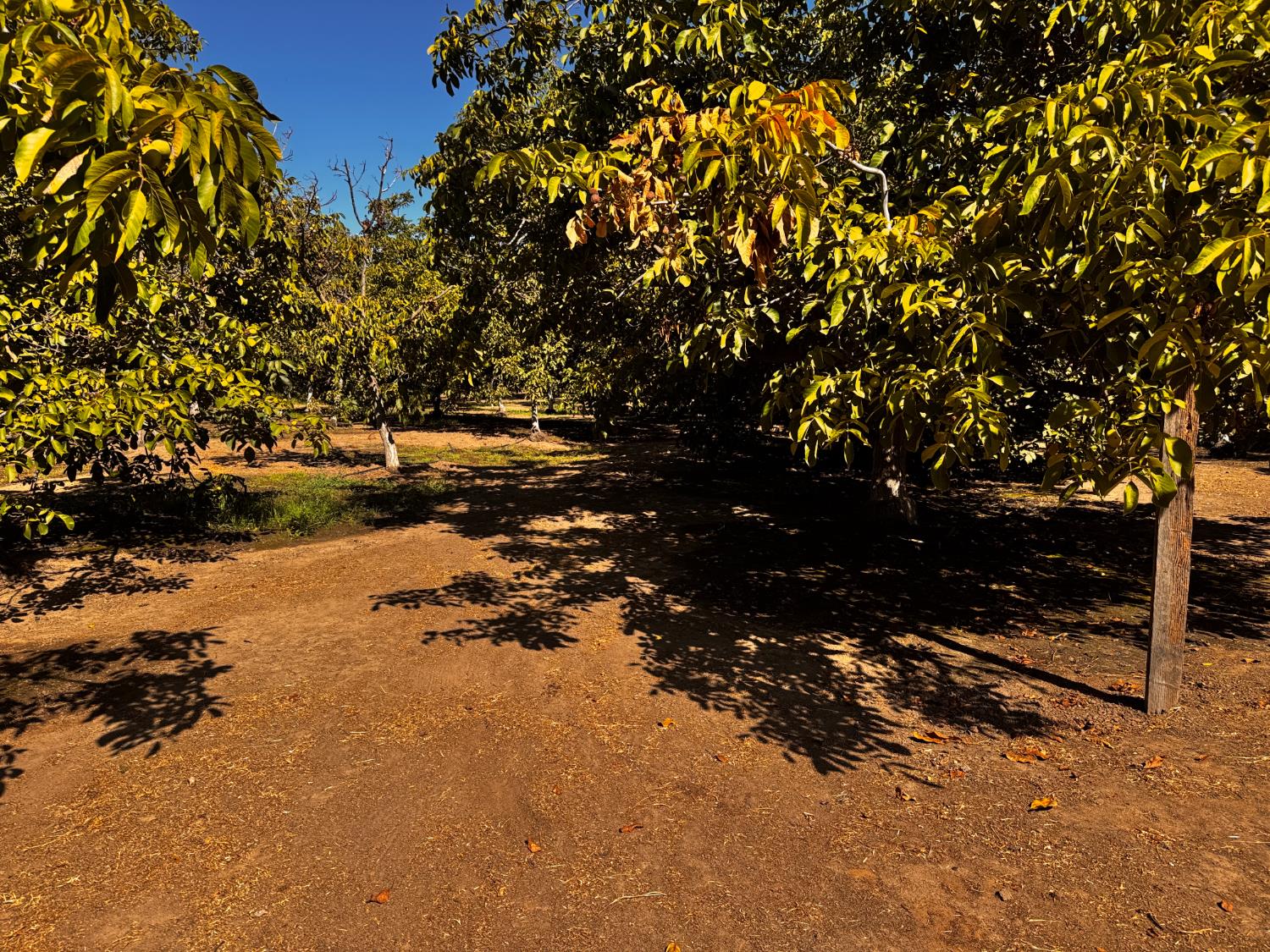 6731 River Rd, Oakdale, CA 95361