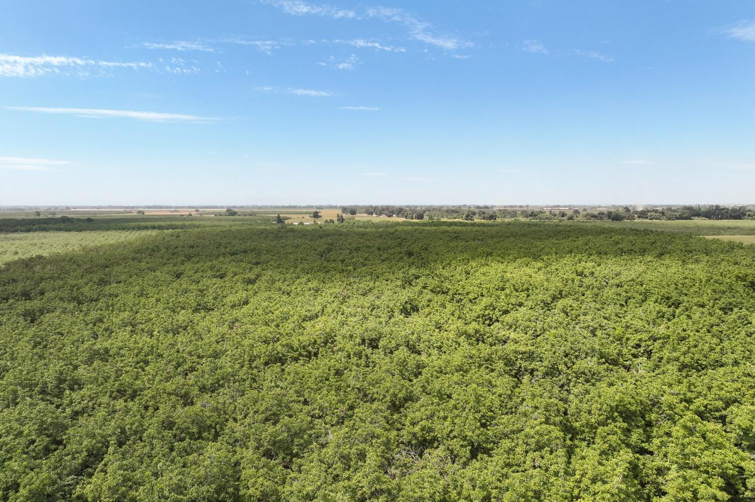 3948 13 1/4 Ave, Hanford, CA 93230